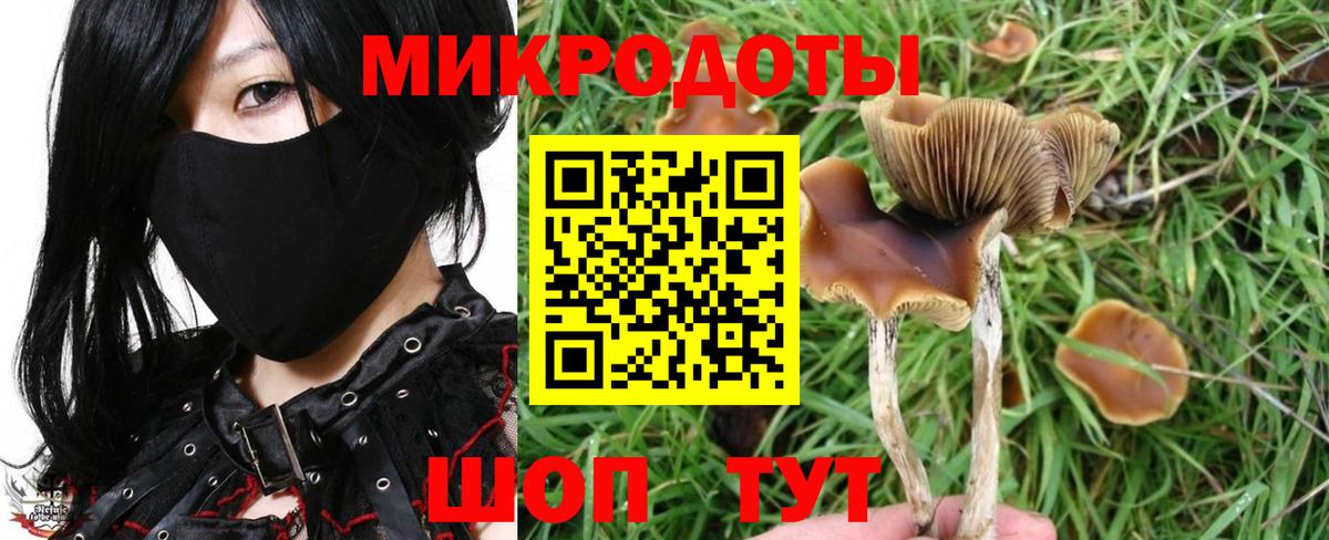 Волгоград  Галлюциногенные грибы ЛСД  Вход с VPN 